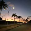 fafo_quinta