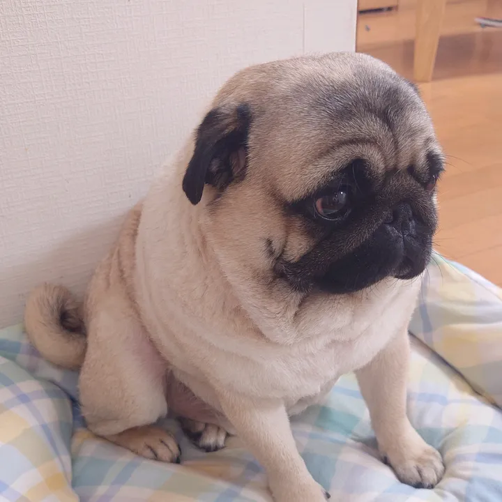 @kao.man0