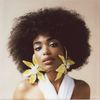 ivyguerrier