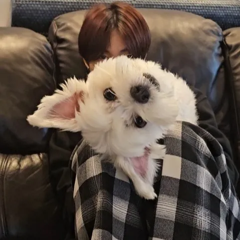 @ennwonn1fan