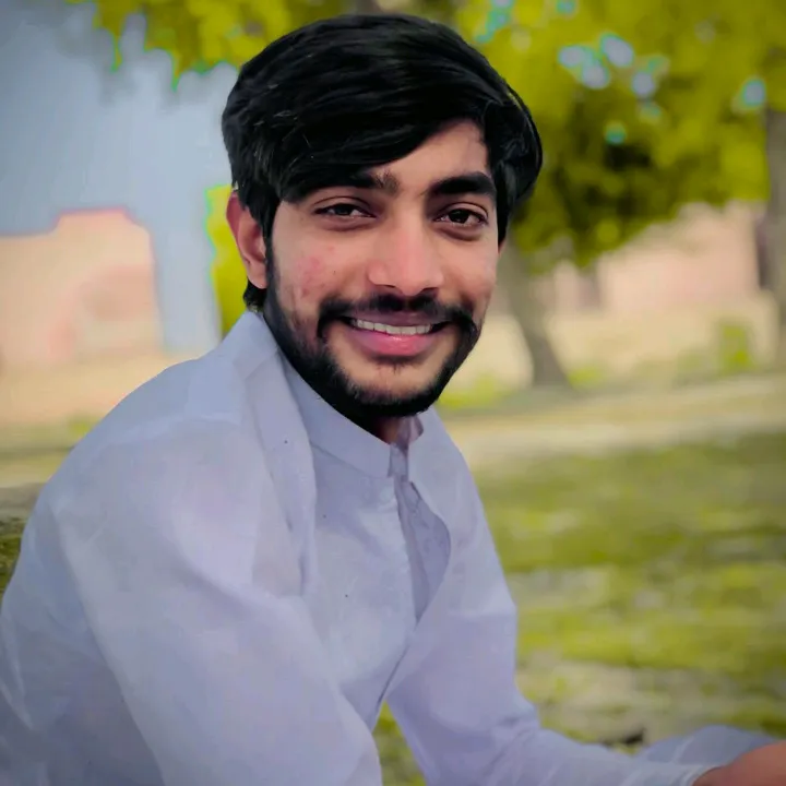 faisalraza071