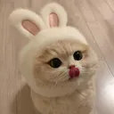 @xiao_sammy