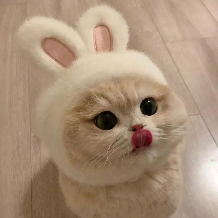 @xiao_sammy