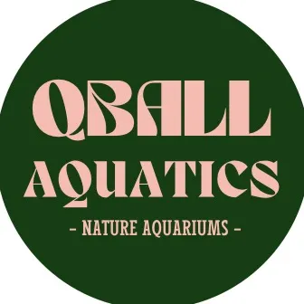 qball_aquatics