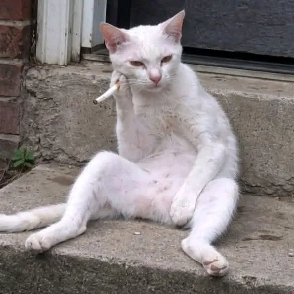 @linkdgaf1