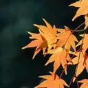 @whatyou646