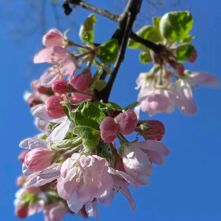@16bozkurt00