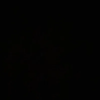 @x._vachacho_
