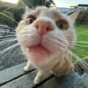 @newzealandtowns