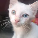 @pankekes666