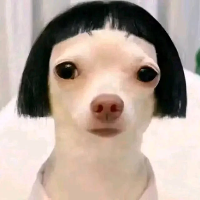 @maxpie11