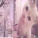 @ale496738