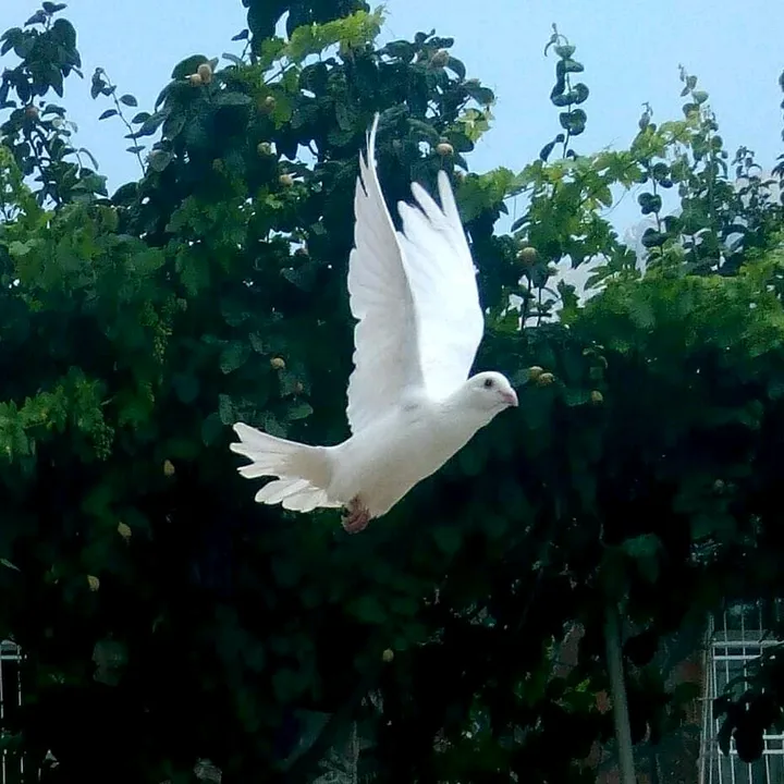 @emre_ozdemir33