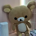 @yn_k25