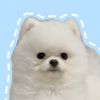 miru_pppp04