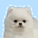 @miru_pppp04