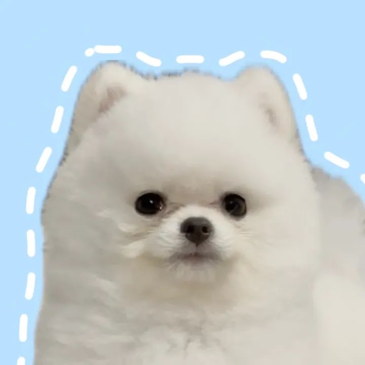 miru_pppp04
