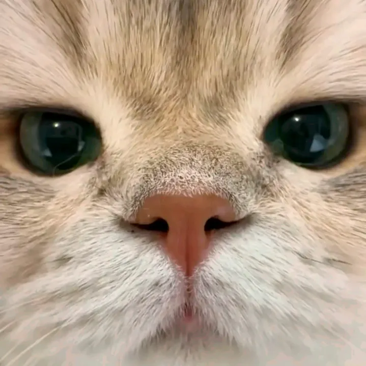 @zaraaxvra_