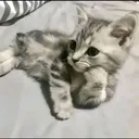 @karenma786