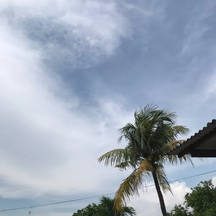 rzzk_15