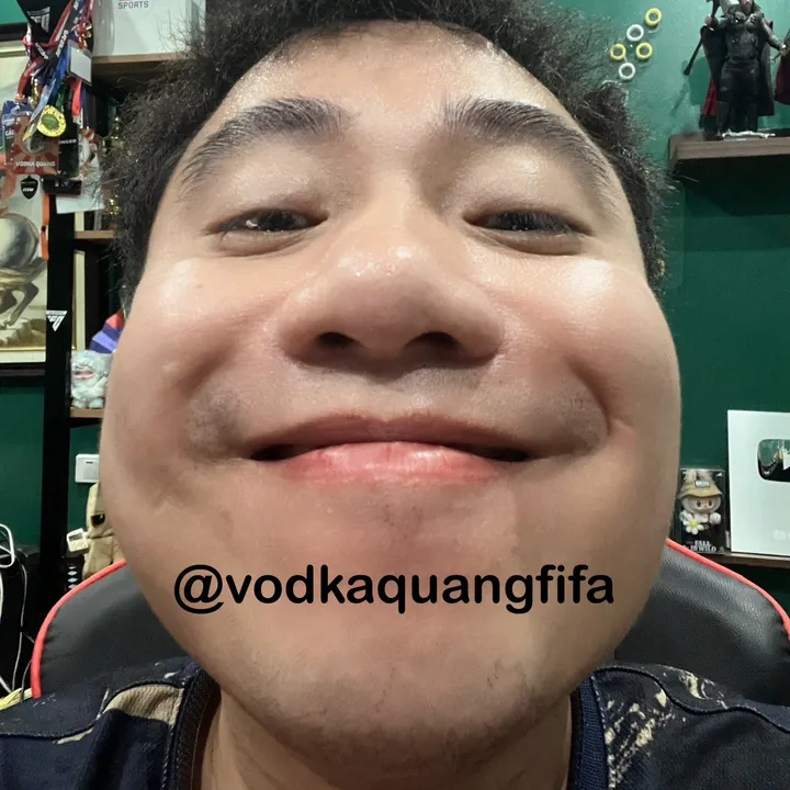 vodkaquangfifa