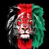 ns.abbas33