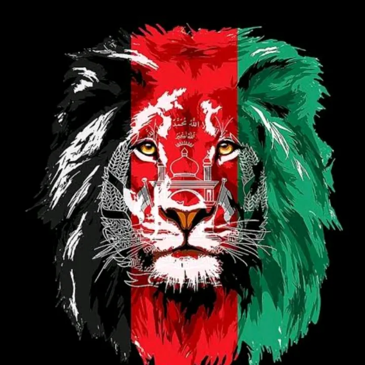 @ns.abbas33