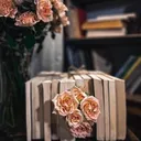 @eman_jed2