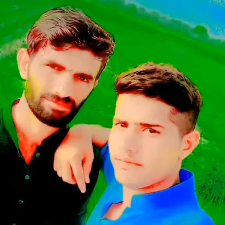 user20473078176618