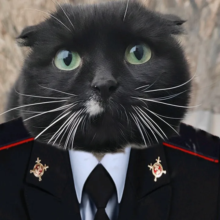 deputat.don