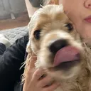 @danny._.33