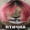 ranieokaa