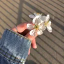 @khaoulaall1