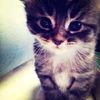rishka_x2