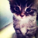 @rishka_x2