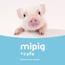 @mipigcafe