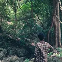 @solobharath