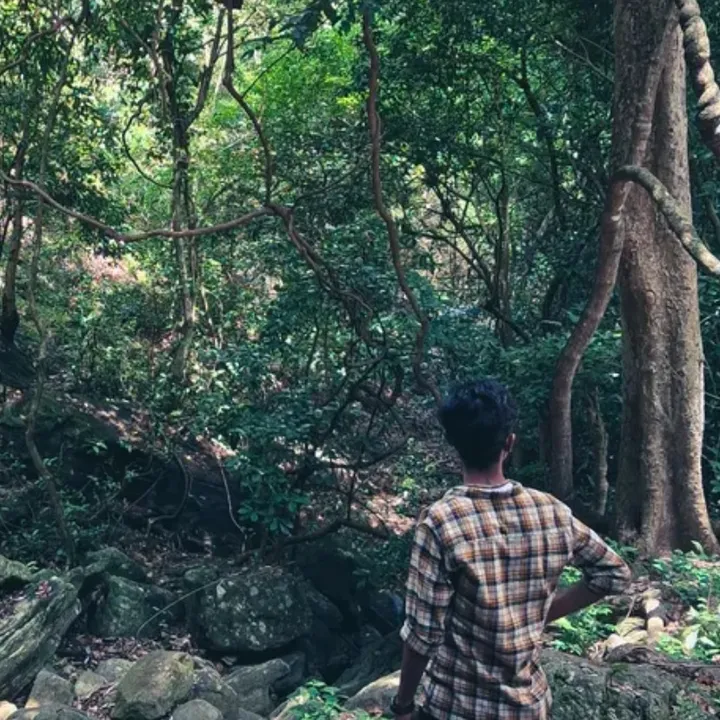 @solobharath