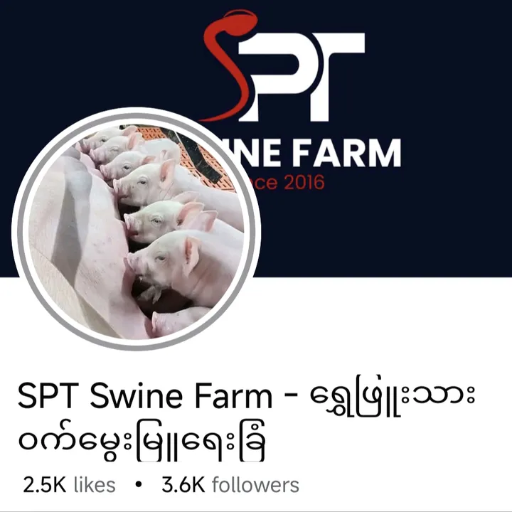 sptswinefarm