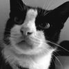 sintiaarr1