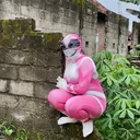 @frnsdevi