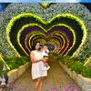 romeela.pais