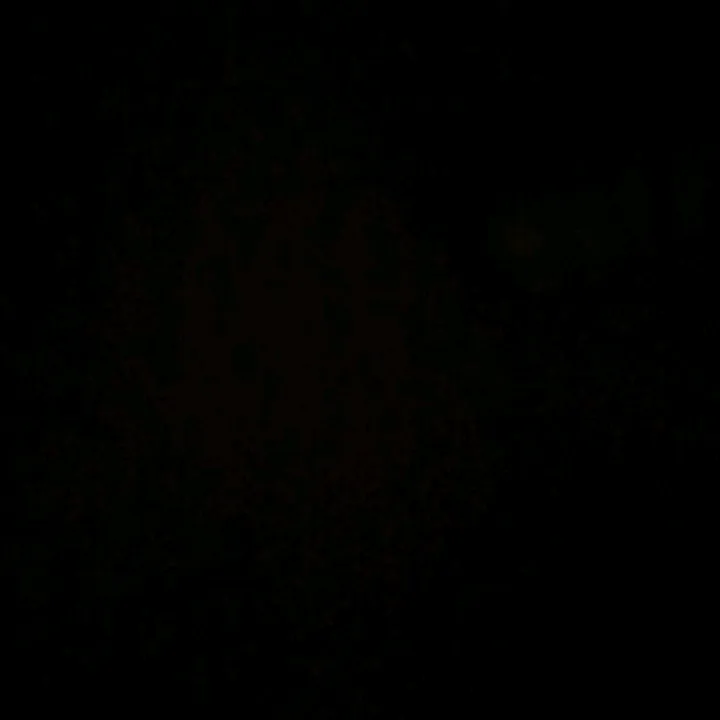 @buivth110
