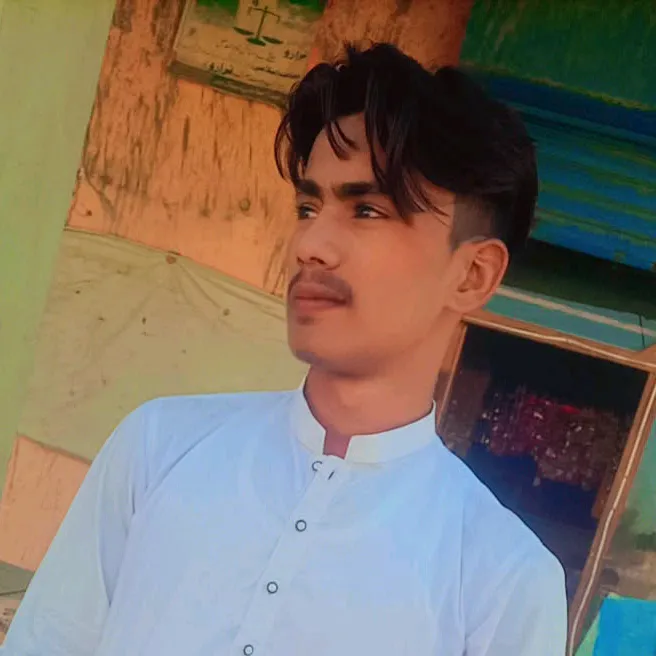 ameerhamza35301