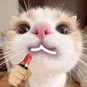 @koneko.archive