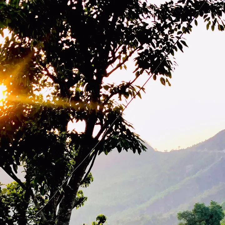 @laxmibanshithakuri