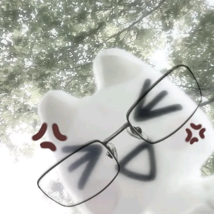 chifuyu499