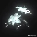 @kmartzen
