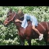 life_in_the_saddle16