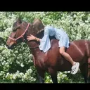 @life_in_the_saddle16